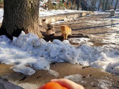 -终南山南五台景区