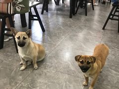 -张一品食府