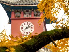 -四川大学(华西校区)