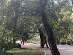 -长春市南湖公园