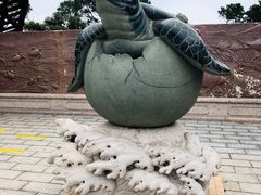 -广东惠东海龟国家级自然保护区