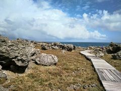 -龙坑生态保护区