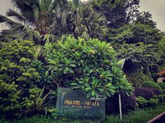 -海湾壹品·粤菜·早茶·烤鸭(拱北店)