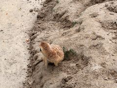 -合肥滨湖国家森林公园