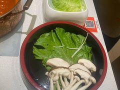 -小茉庐和牛自助火锅(龙湖万达店)