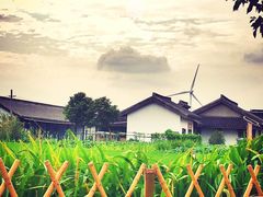 -丫丫蟹庄·苏式园林农家乐·阳澄湖大闸蟹(阳澄湖莲花岛店)