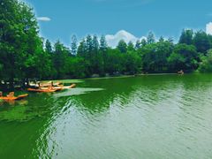 -东湖落雁景区