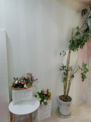 -忆家亲子儿童摄影(1818大厦店)