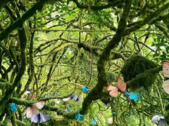 -沂蒙云瀑洞天景区