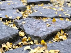 -花溪公园