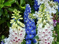 -东方体育中心(地铁站)