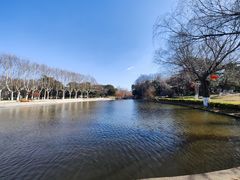 -泰州凤城河风景区-泰山公园