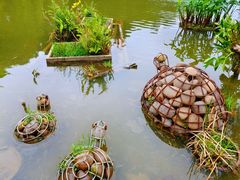 -深圳仙湖植物园