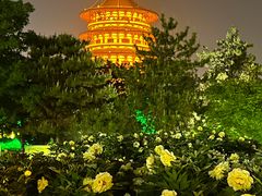 -隋唐洛阳城明堂天堂景区