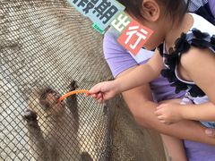 -秦皇岛野生动物园