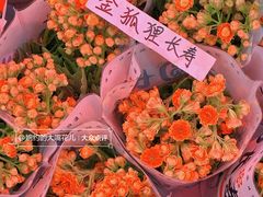 -花鸟鱼虫鲜花绿植市场(玉泉路店)