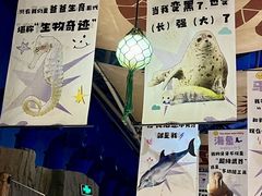 -海合安青岛极地海洋公园