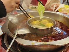 -金鼎雪山牦牛杂火锅(理县总店)