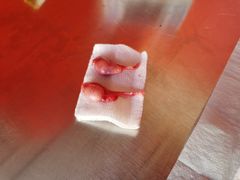 -瑞派福兴宠物医院犬猫全科·骨科·中西医结合(河东店)