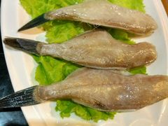-杨家火锅(国美店)