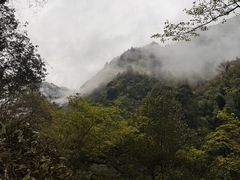 -炎陵县神农谷国家森林公园