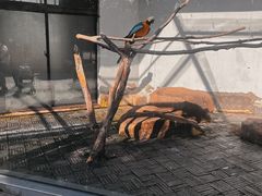 -上方山森林动物世界