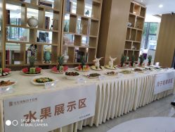 -宝生月子中心·独栋独院式(南山店)