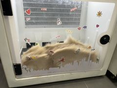 -艾贝尔宠物医院·宠保定点·超声绝育·免疫点(樱花路店)