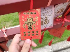 -奔跑吧乐园