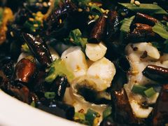 黑鱼花-三猫黑鱼花(南大店)