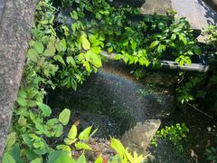 -藏龙百瀑风景区