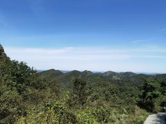 -金龙寺国家森林公园
