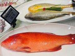 -甬上名灶(天一阁·翠柏店)