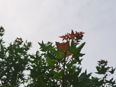 -香山公园
