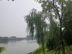 -东郊湿地公园