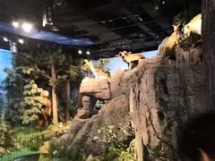 -陕西自然博物馆