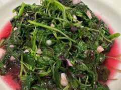 炒苋菜-金哥私房菜馆(张府园总店)