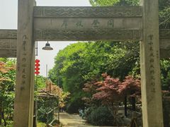 -雨花胜境