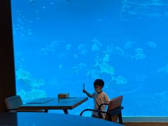 -海棠湾洲际-涛·海底餐厅·美人鱼·自助餐·海底隧道