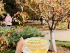 -元大都城垣遗址公园