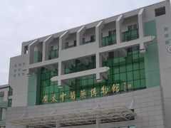 -广东中医药博物馆