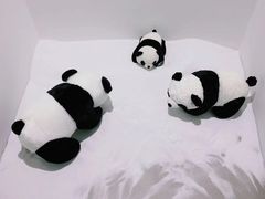 -素境采耳(管仲公园店)