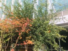 -北京希尔顿逸林酒店