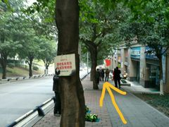 -柴务处·柴犬主题狗咖