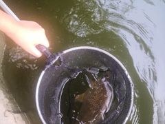 -酷鱼垂钓CLUB(朝阳区博大路店 )