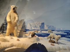 -陕西自然博物馆