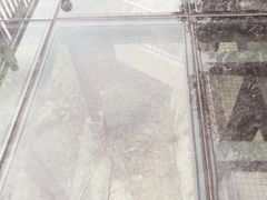玻璃栈道-狐尾山公园