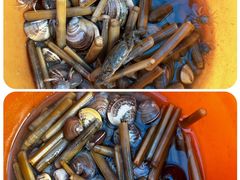 -红树林天天赶海