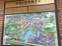 -大塘金香草谷