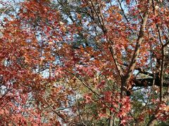 -香山公园-东宫门售票处